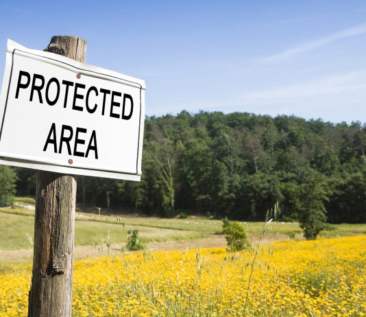 Aree protette in Campania, la sentenza del Tar Aree protette in Campania, la sentenza del Tar