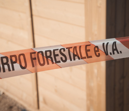 Guardie o carabinieri forestali? La sentenza del Tar Guardie o carabinieri forestali: nastro del corpo forestale dello Stato