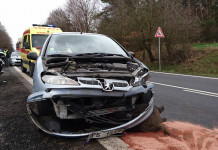Incidente con cinghiale: chi paga? Incidente con cinghiale chi paga