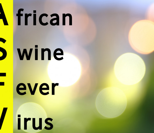 Peste suina africana: aggiornamento Peste suina africana aggiornamento