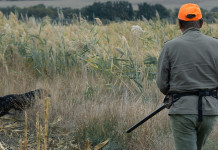 Accesso ai fondi rustici: riflessioni sull’articolo 842 del Codice Civile Accesso ai fondi rustici riflessioni sull’articolo 842 del Codice Civile