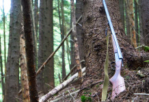Incidenti di caccia: i dati del 2021 Incidenti di caccia: fucile appoggiato a un albero nella foresta