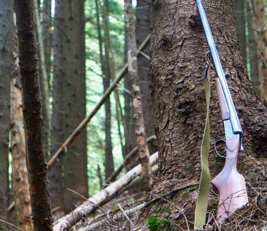 Incidenti di caccia: i dati del 2021 Incidenti di caccia: fucile appoggiato a un albero nella foresta