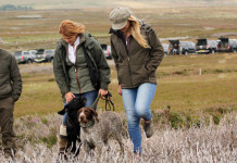 Trasportare i cani in automobile: viaggiamo sereni Trasportare i cani in automobile: cacciatori e cacciatrici con cane al guinzaglio, dopo esser scesi di macchina