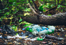 Al via l’operazione Paladini del territorio: ecco il programma Al via l’operazione Paladini del territorio: spazzatura nel bosco