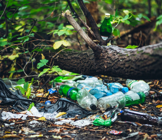 Al via l’operazione Paladini del territorio: ecco il programma Al via l’operazione Paladini del territorio: spazzatura nel bosco