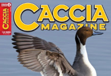 Caccia Magazine n.4 aprile 2022: l’editoriale del direttore Caccia Magazine n.4 aprile 2022 l'editoriale del direttore