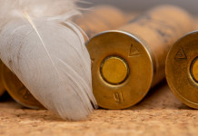 Durata della stagione venatoria: la sentenza della Corte costituzionale Durata della stagione venatoria: cartucce vintage con piuma