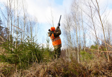 Caccia in Toscana: le principali novità Caccia in Toscana: cacciatore in alta visibilità spara a uccelli