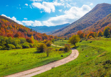Confini delle aree contigue ai Parchi: la sentenza Confini delle aree contigue ai Parchi: parco nazionale d'abruzzo, lazio e molise