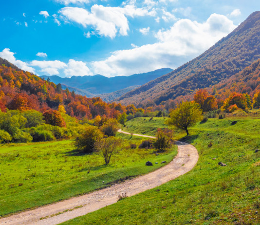 Confini delle aree contigue ai Parchi: la sentenza Confini delle aree contigue ai Parchi: parco nazionale d'abruzzo, lazio e molise