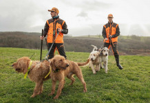 Garmin Alpha 200 K, il dispositivo per localizzare i cani da caccia Garmin Alpha 200 K, il dispositivo per localizzare i cani da caccia