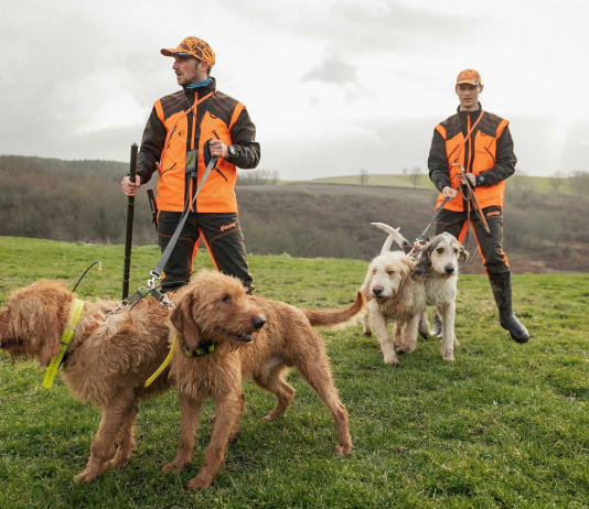 Garmin Alpha 200 K, il dispositivo per localizzare i cani da caccia Garmin Alpha 200 K, il dispositivo per localizzare i cani da caccia