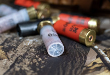 Munizioni in piombo nelle zone umide: Ispra risponde Munizioni in piombo nelle zone umide: cartucce da caccia