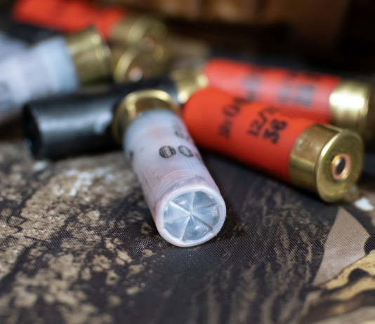 Munizioni in piombo nelle zone umide: Ispra risponde Munizioni in piombo nelle zone umide: cartucce da caccia