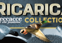 Speciale Ricarica Collection, in edicola dal 26 aprile Ricarica Collection