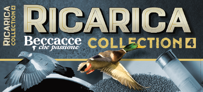 Ricarica Collection