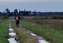 Che tipo di cacciatore vuoi essere? cacciatore