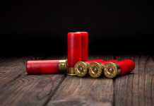 Munizioni in piombo, Face: «Riaprire consultazione pubblica» Munizioni in piombo: sei cartucce calibro 12 su tavolo di legno