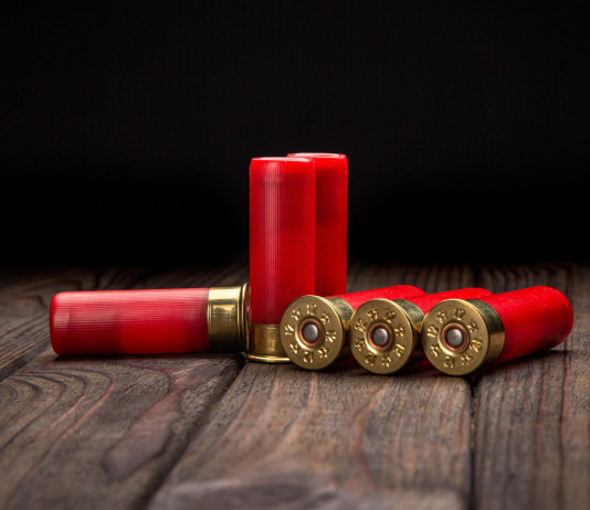 Munizioni in piombo, Face: «Riaprire consultazione pubblica» Munizioni in piombo: sei cartucce calibro 12 su tavolo di legno