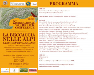 beccaccia nelle Alpi