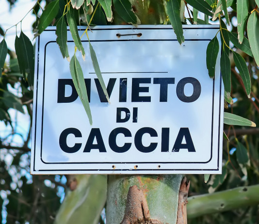 Divieto di caccia e poteri del sindaco: la sentenza del Tar Divieto di caccia e poteri del sindaco: cartello che indica il divieto di caccia