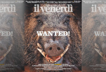 La gestione del cinghiale sul Venerdì di Repubblica La gestione del cinghiale sul Venerdì di Repubblica