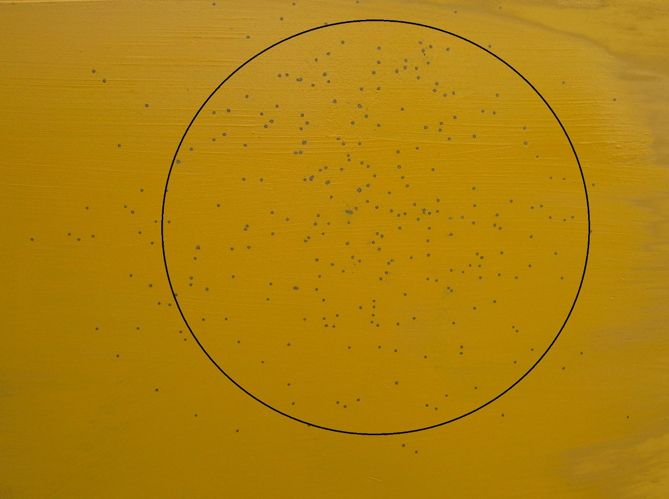 30 metri, test della doppietta da caccia amber extra calibro 28 di flli poli