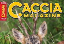 Caccia Magazine n.8 agosto 2022: l’editoriale del direttore Caccia Magazine n.8 agosto 2022 l’editoriale del direttore