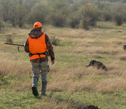 Caccia nei fondi privati, l’allarme della Libera Caccia Caccia nei fondi privati: cacciatore a caccia di fagiani con cane, gilet in alta visibilità