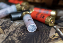 Cartucce da caccia a pallini: in quale calibro non serve la denuncia? Cartucce da caccia a pallini in che calibro non serve la denuncia: cartucce da caccia calibro 12