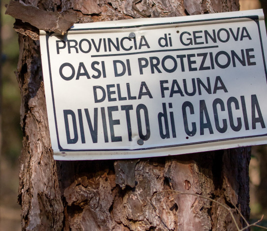 In armi in area protetta non tabellata: la sentenza della Cassazione In armi in area protetta non tabellata: cartello che indica il divieto di caccia