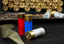 Munizioni in piombo, riaperta consultazione europea Munizioni in piombo: cartucce da caccia con cartucciera