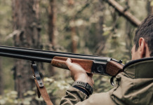 Poteri delle guardie zoofile: la sentenza del Consiglio di Stato Poteri delle guardie zoofile: cacciatore con fucile