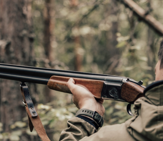 Poteri delle guardie zoofile: la sentenza del Consiglio di Stato Poteri delle guardie zoofile: cacciatore con fucile