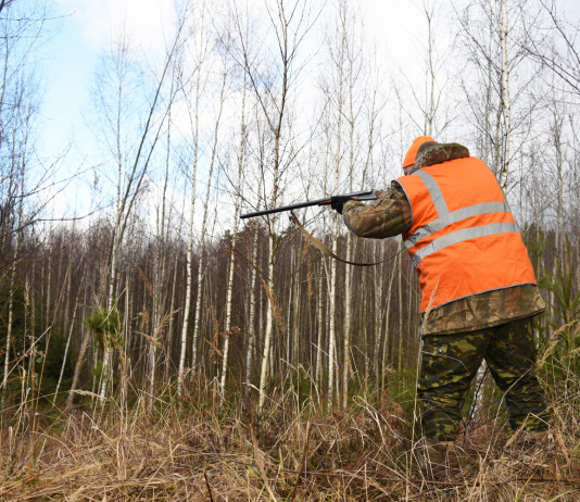 Associazione unica dei cacciatori, l’appello dell’Arcicaccia Associazione unica dei cacciatori: cacciatore con gilet alta visibilità prende la mira