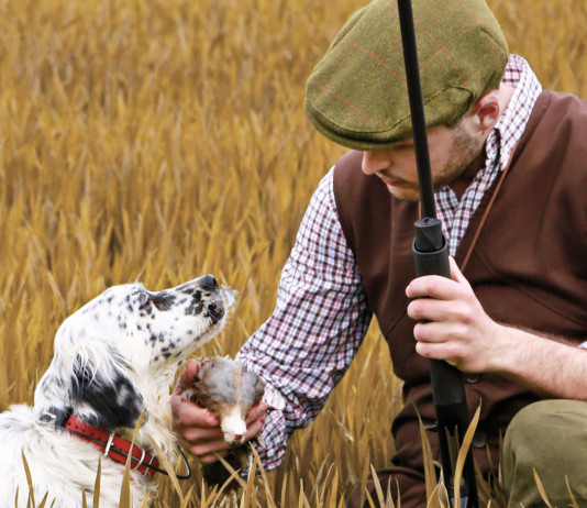 Caccia Magazine settembre 2022 in edicola dal 18 agosto Caccia Magazine settembre 2022: cacciatore con setter a caccia