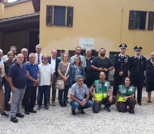 Cras Marche: più di 11.000 animali selvatici recuperati in tre anni Cras Marche più di 11.000 animali selvatici recuperati in tre anni