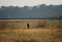 Cacciare fuori regione: rinnovato accordo tra Umbria e Lazio Cacciare fuori regione rinnovato accordo tra Umbria e Lazio: cacciatore di spalle