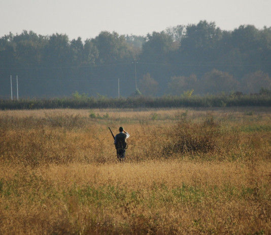 Cacciare fuori regione: rinnovato accordo tra Umbria e Lazio Cacciare fuori regione rinnovato accordo tra Umbria e Lazio: cacciatore di spalle