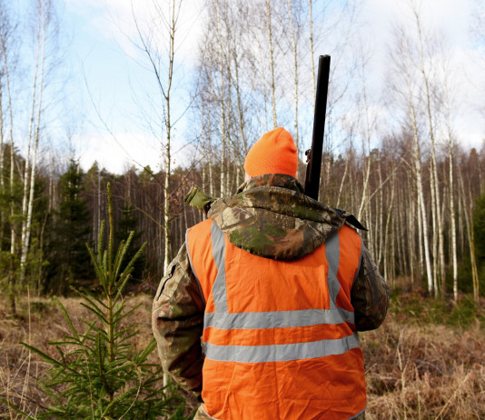 Calendari venatori 2022/2023: la situazione Calendari venatori 2022 2023: cacciatore di spalle in alta visibilità