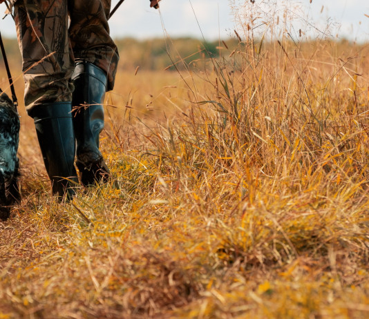 Calendari venatori regionali 2022/2023: la comparazione Calendari venatori regionali 2022 2023: cane e cacciatore da dietro in ambiente autunnale