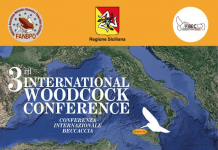 La beccaccia nel Mediterraneo: 10 settembre convegno in Sicilia beccaccia nel Mediterraneo