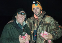 Le beccacce dell’isola di Vormsi beccacce isola di vormsi