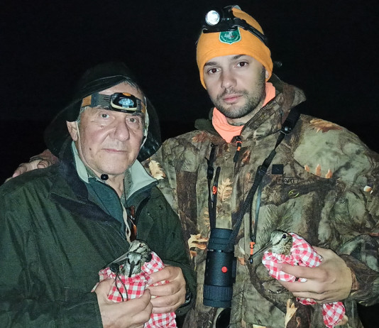 Le beccacce dell’isola di Vormsi beccacce isola di vormsi