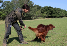 Konustex linea Lady: pensata da donne per le donne Konustex linea Lady