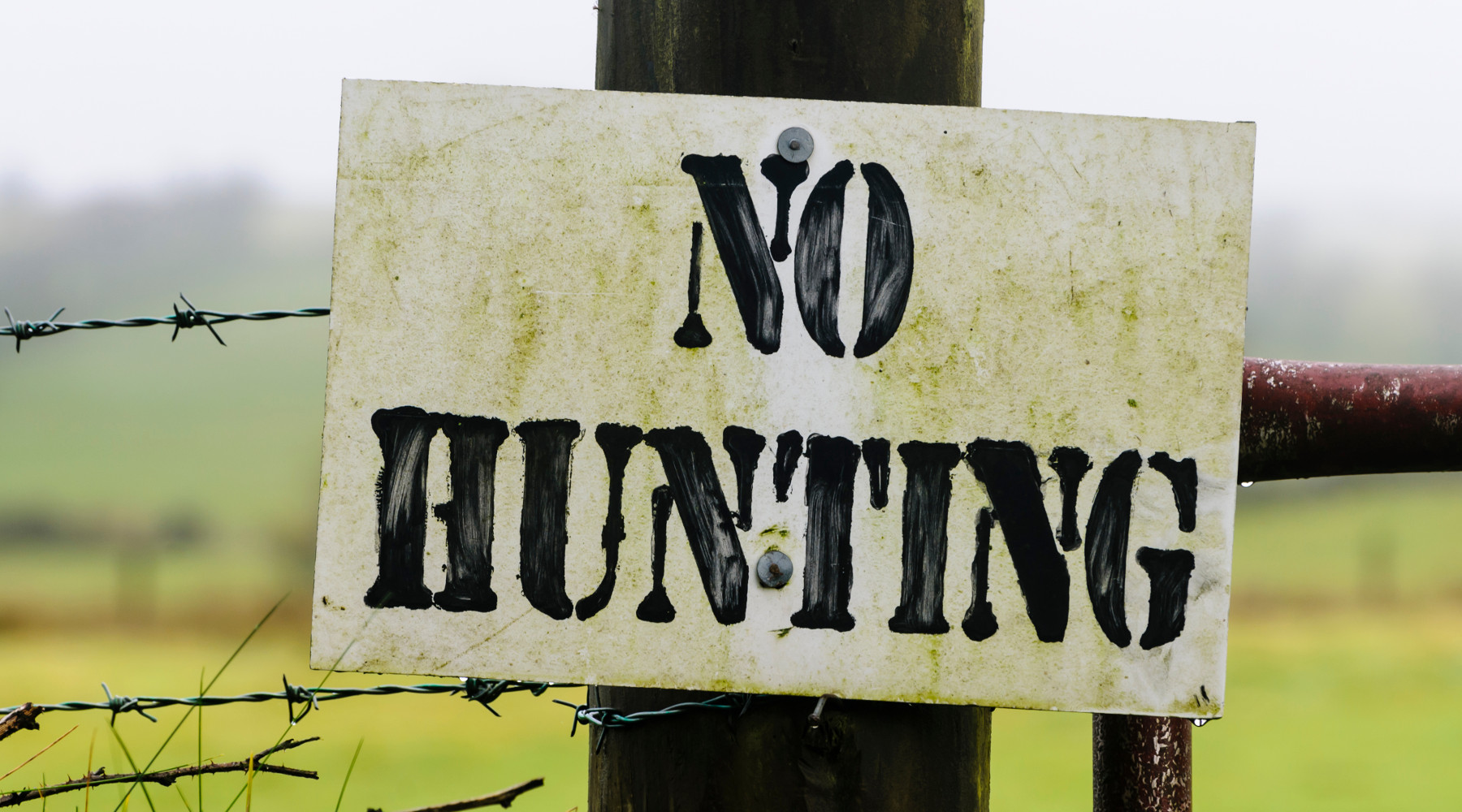 Sospesa l’apertura della caccia in Umbria: cartello con divieto di caccia