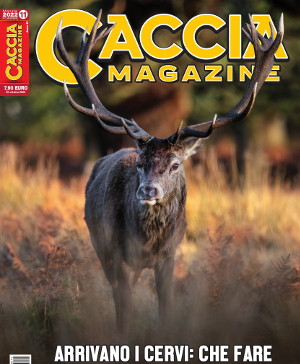 Caccia Magazine n.11 novembre 2022: l’editoriale del direttore Caccia Magazine n.11 novembre 2022 l’editoriale del direttore