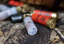 Munizioni in piombo, la posizione del Trentino Munizioni in piombo, la posizione del Trentino: cartucce da caccia