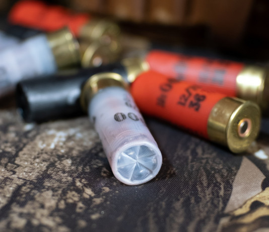 Munizioni in piombo, la posizione del Trentino Munizioni in piombo, la posizione del Trentino: cartucce da caccia